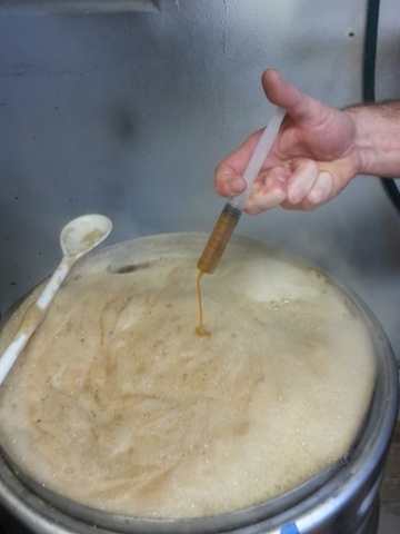 Adding Hop Extract to the boil